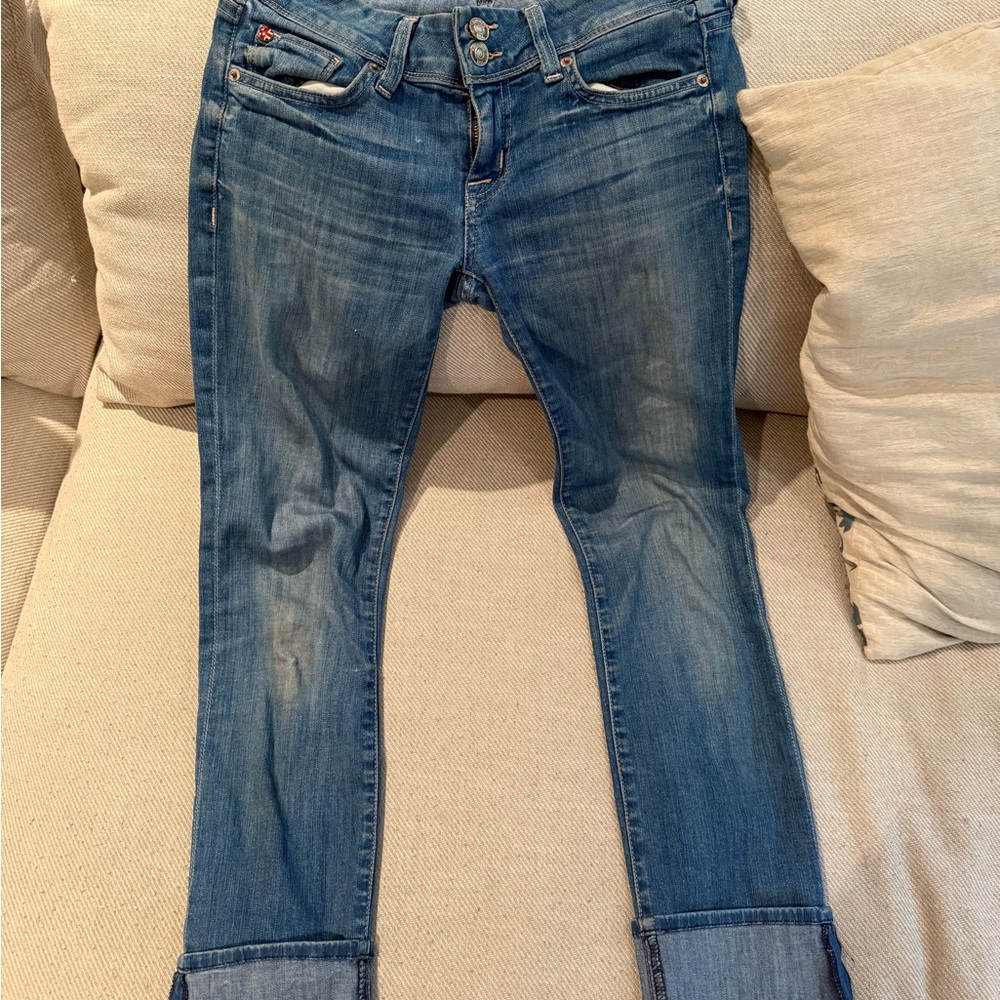 Hudson Jeans Blue Skinny Denim